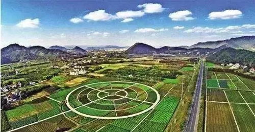 乡村旅游规划设计丨为什么国内的田园综合体90%都失败了